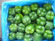 Pepper