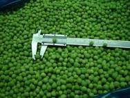 Green Beans
