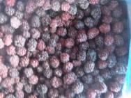 Blackberry